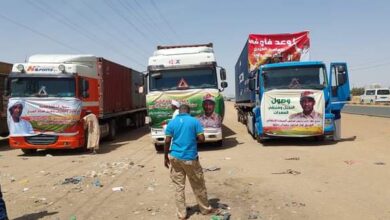 WhatsApp Image 2023 03 10 at 14.25.24