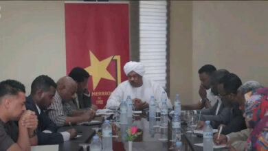 هيدر الموقعس الصفوة 14