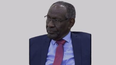 SAVE ٢٠٢٥٠٢١٢ ١٧١٥٥٨