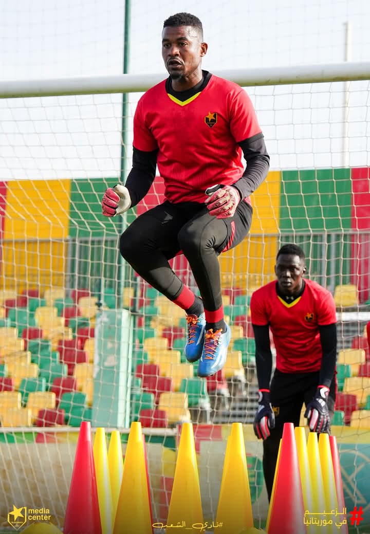 03b1a556 6324 4eb8 9fe3 23e3ea372248