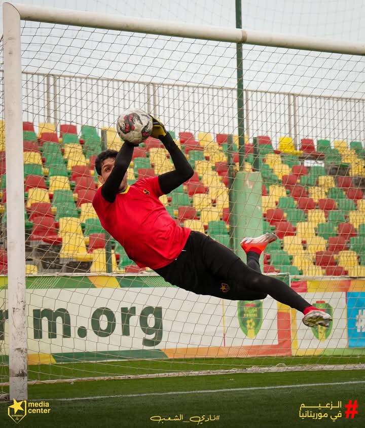 53f9519a 158f 49dd 942f 85f53808e47c