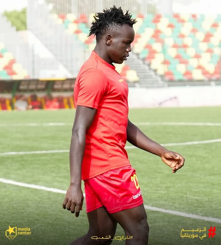 e7cf1396 59a1 4760 9766 f45293d001de