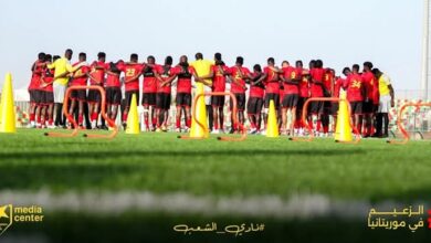 08a0a228 1c1e 40e1 9ed4 673771272517