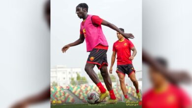 4b2d43c6 8c12 4c1c 9e7a 375c6e3f30be