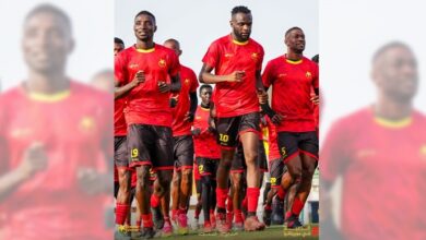 ec74bf62 b754 4026 942a 76d26eb9038e