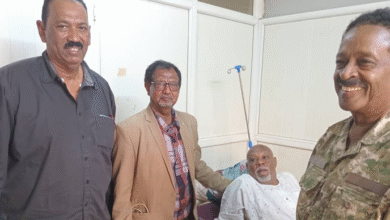 الصفوة هيدر 3 1