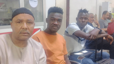 الصفوة هيدر