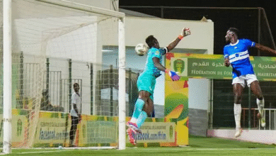 الصفوة هيدر 4