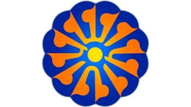 التلفزيون يبث النخبة