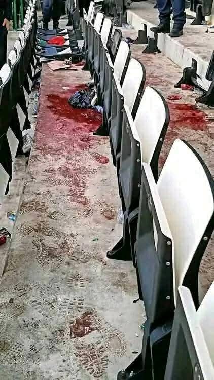 WhatsApp Image 2025 06 22 at 11.04.21 1