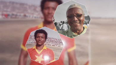 الصفوة هيدر 1