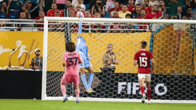 الصفوة هيدر 10 1