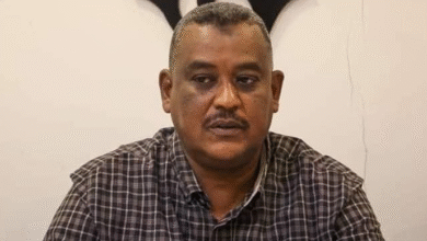 الصفوة هيدر 10 2