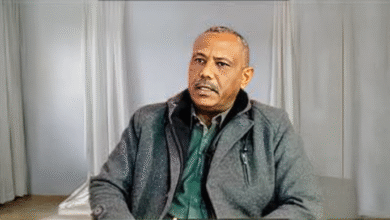 الصفوة هيدر 10