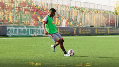 الصفوة هيدر 12 1