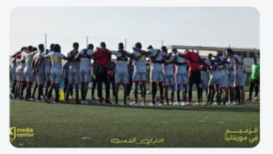 الصفوة هيدر 13 1