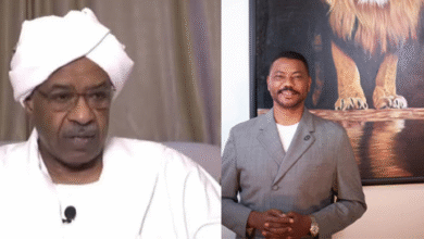 الصفوة هيدر 14 1