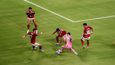 الصفوة هيدر 14