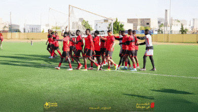 الصفوة هيدر 19