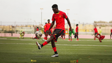 الصفوة هيدر 2