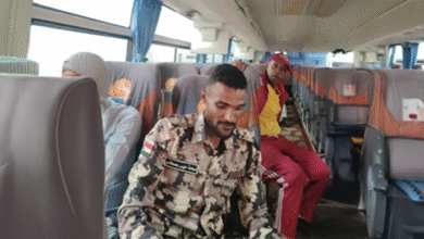 الصفوة هيدر 23