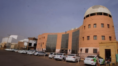 الصفوة هيدر 27