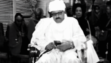 الصفوة هيدر 3 2