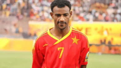 الصفوة هيدر 31