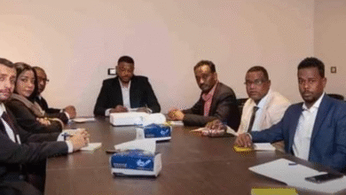 الصفوة هيدر 32