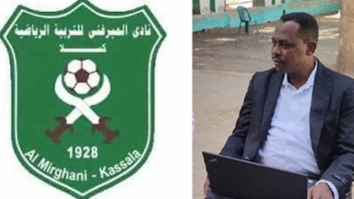 الصفوة هيدر 33 1