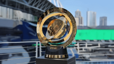 الصفوة هيدر 8