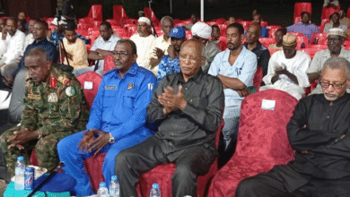 احتفالات حاشدة بسيد الأتيام في ود مدني