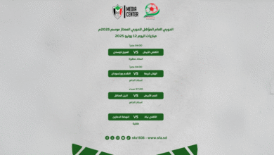 الكهرباء تتسبب في تأجيل مباراة الصعود للممتاز