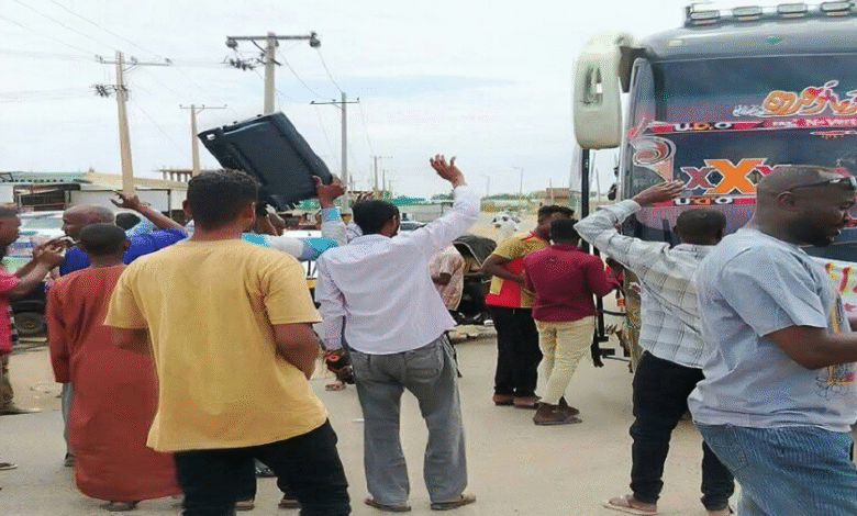 بالفيديو.. استقبالات احتفالية للرهيب في كوستي