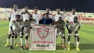 أبوجا يوضح سر تصديه لركلة أسد