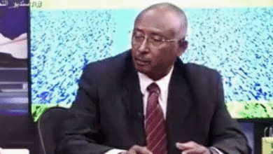 النجومي: هذه توقعاتي لأداء الحكام في النخبة