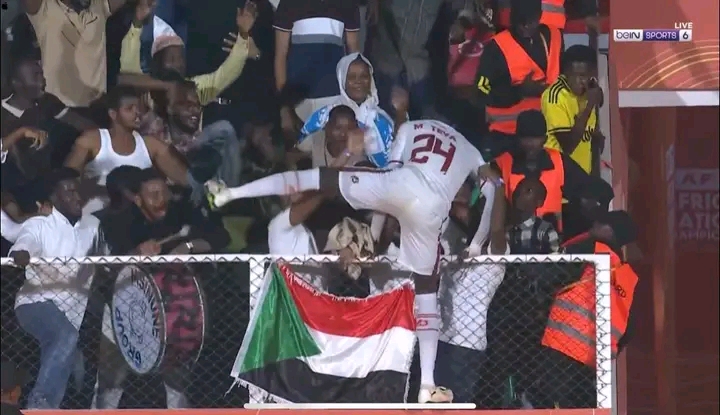 صقور الجديان تسقط محاربي الصحراء وتواجه مدغشقر في نصف نهائي الشان 3 صقور الجديان تسقط محاربي الصحراء وتواجه مدغشقر في نصف نهائي الشان