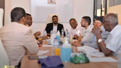 قيود وغموض حول كنز المريخ المفقود.. لماذا تحدث معتصم بعد استقالة النمير؟