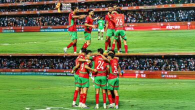 SAVE ٢٠٢٥٠٨٣٠ ٢٠٣١٢٩