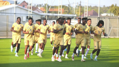 صقور الجديان تتحدى أسود التيرانغا للتحليق في ربع نهائي الشان