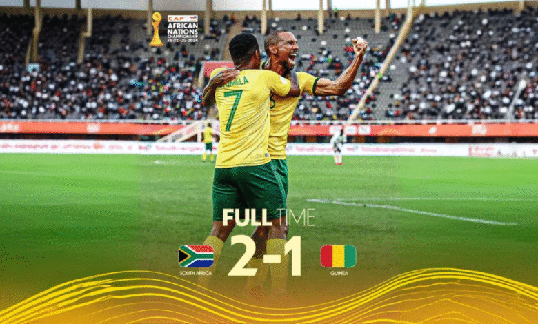 جنوب أفريقيا تجتاز عقبة غينيا وتصل للنقطة الرابعة