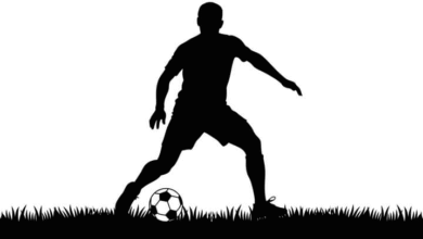 مهاجم وطني دولي ضمن خيارات تسجيلات المريخ