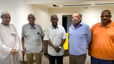 اجتماع مهم بالقاهرة بشأن "الوفاق المريخي"