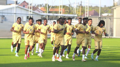 أسد يزأر في بطولة الشان