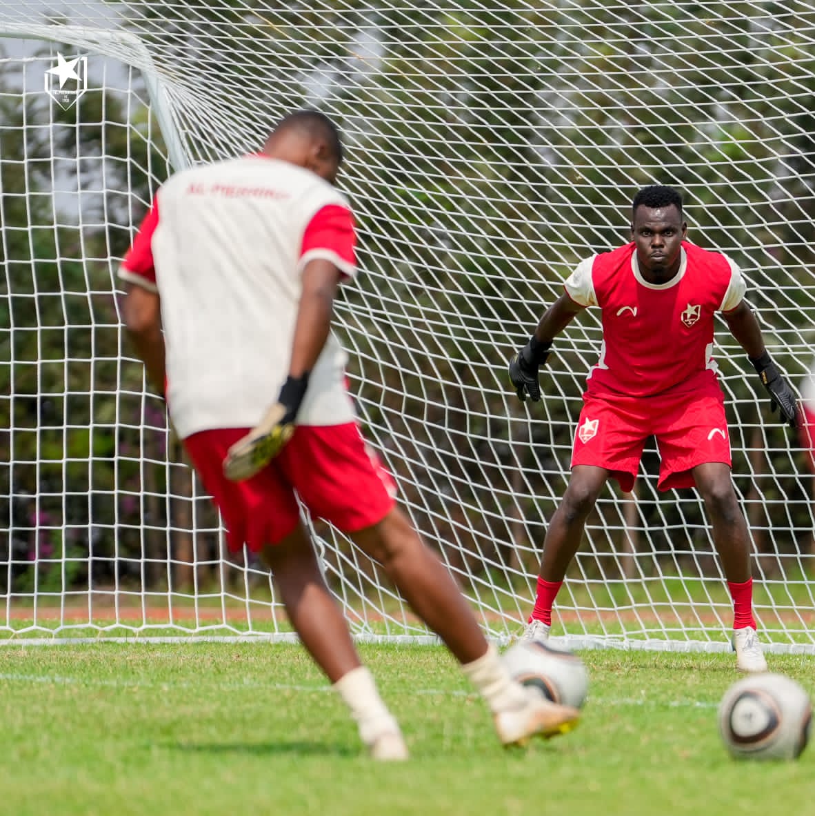 حراسة مرمى المريخ.. حظوظ لادجو، تألق أبوجا، عودة جرس 4 02d20a31 0c08 433b 8023 b26d053c70ff