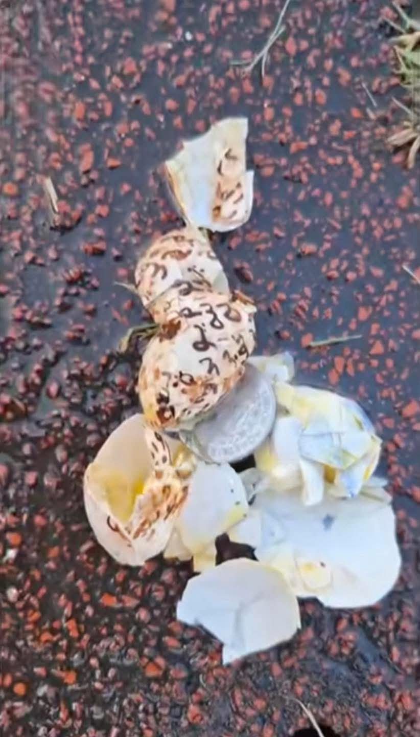 20ffbe53 ad04 4d32 aaf7 88cf97df7393