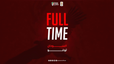 توغو يغتال آمال صقور الجديان في المونديال