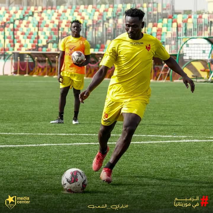 f9b2f6e9 3de8 4621 a232 66d37c4b60dc