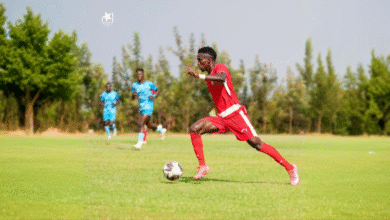 freepik expand 38993