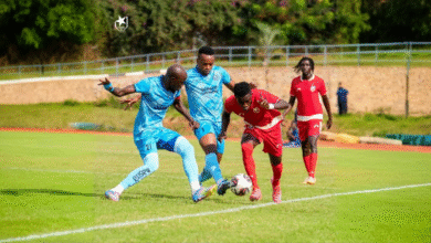 freepik expand 75645 1